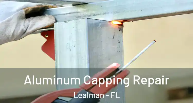 Aluminum Capping Repair Lealman - FL