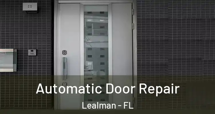 Automatic Door Repair Lealman - FL