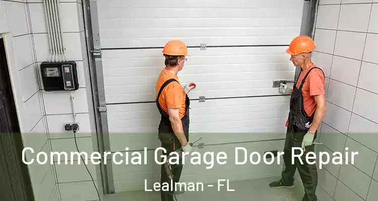 Commercial Garage Door Repair Lealman - FL