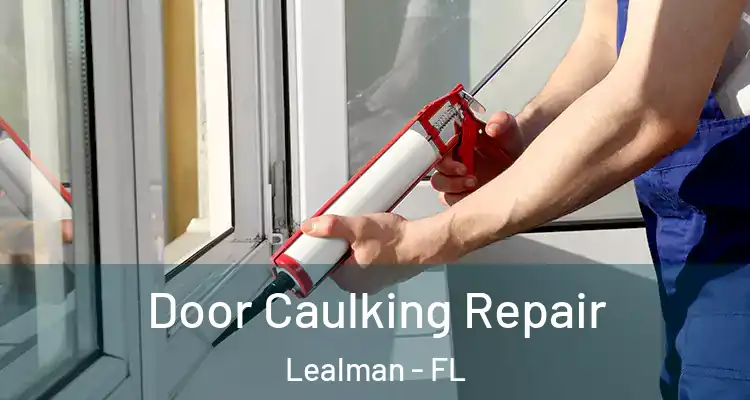 Door Caulking Repair Lealman - FL