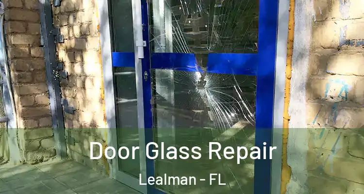 Door Glass Repair Lealman - FL
