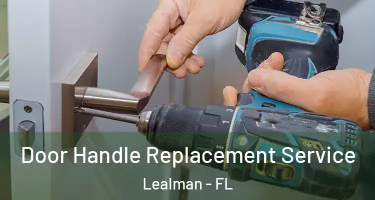 Door Handle Replacement Service Lealman - FL