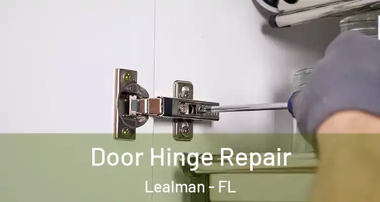 Door Hinge Repair Lealman - FL