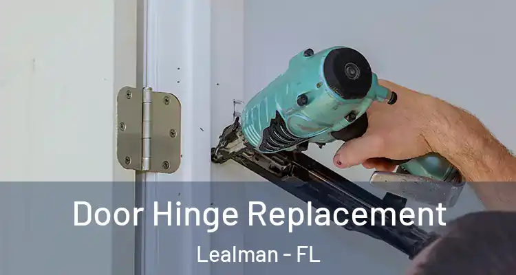 Door Hinge Replacement Lealman - FL