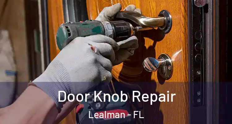 Door Knob Repair Lealman - FL