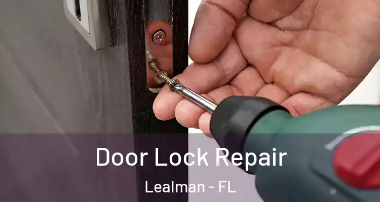 Door Lock Repair Lealman - FL