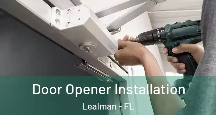 Door Opener Installation Lealman - FL