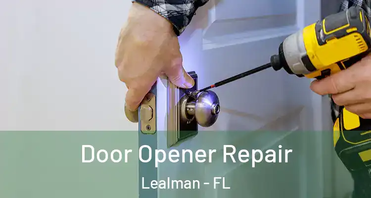 Door Opener Repair Lealman - FL