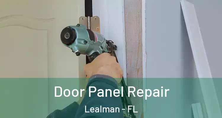 Door Panel Repair Lealman - FL