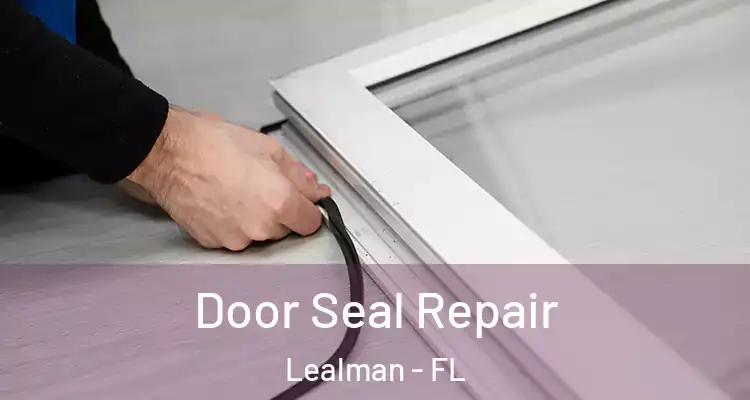 Door Seal Repair Lealman - FL