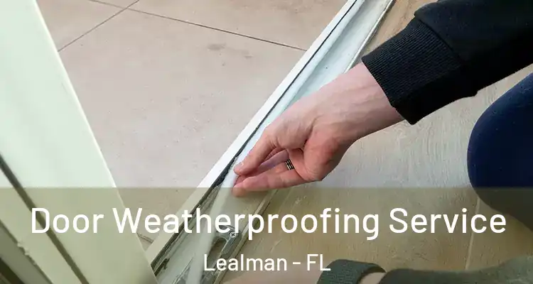 Door Weatherproofing Service Lealman - FL