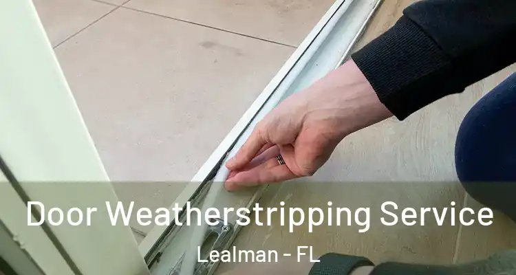 Door Weatherstripping Service Lealman - FL