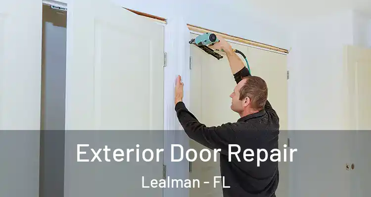 Exterior Door Repair Lealman - FL