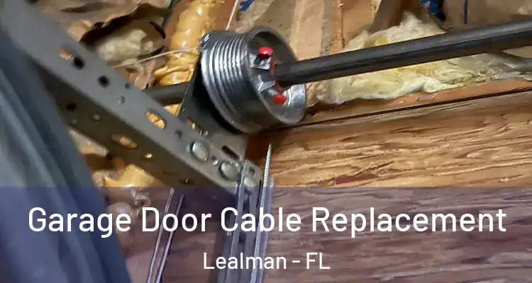 Garage Door Cable Replacement Lealman - FL