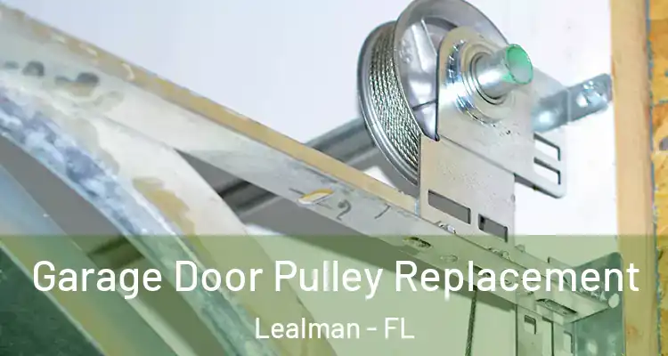 Garage Door Pulley Replacement Lealman - FL