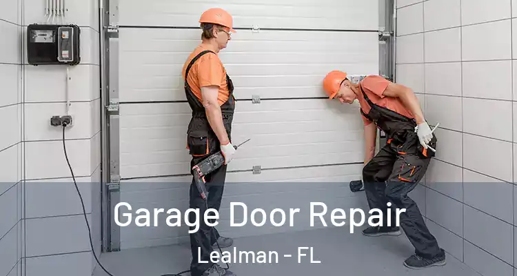Garage Door Repair Lealman - FL