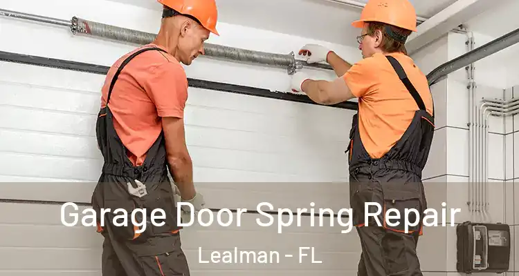 Garage Door Spring Repair Lealman - FL
