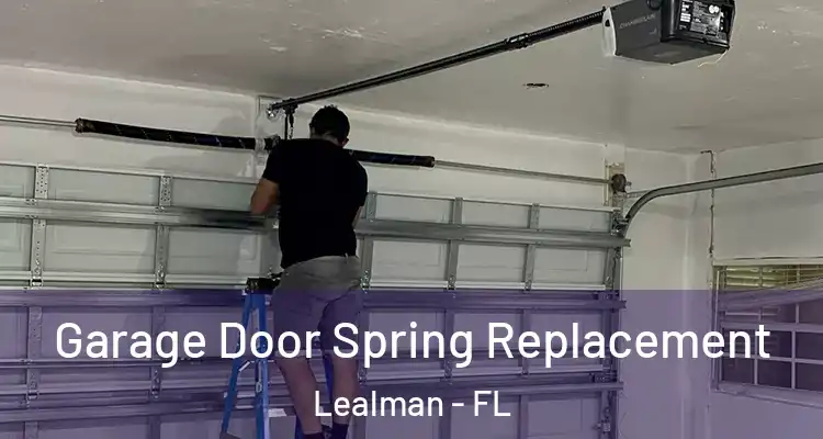 Garage Door Spring Replacement Lealman - FL
