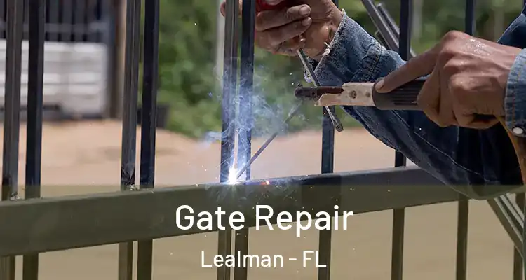 Gate Repair Lealman - FL
