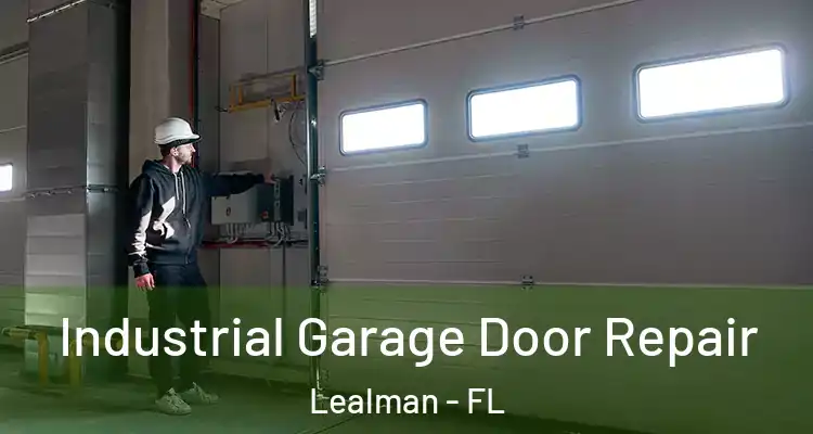 Industrial Garage Door Repair Lealman - FL