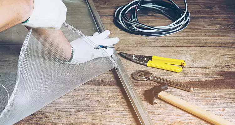 Our Pool Enclosure Mesh Repair Services in Lealman, FL