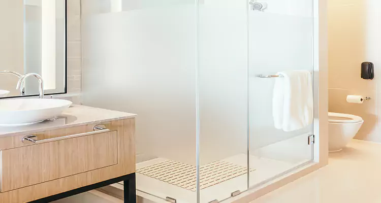 Expert Shower Door Fix and Repair in Lealman, FL