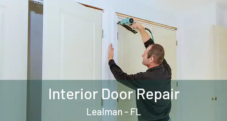 Interior Door Repair Lealman - FL