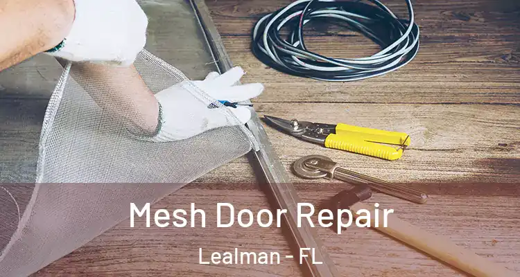 Mesh Door Repair Lealman - FL