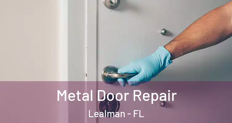 Metal Door Repair Lealman - FL