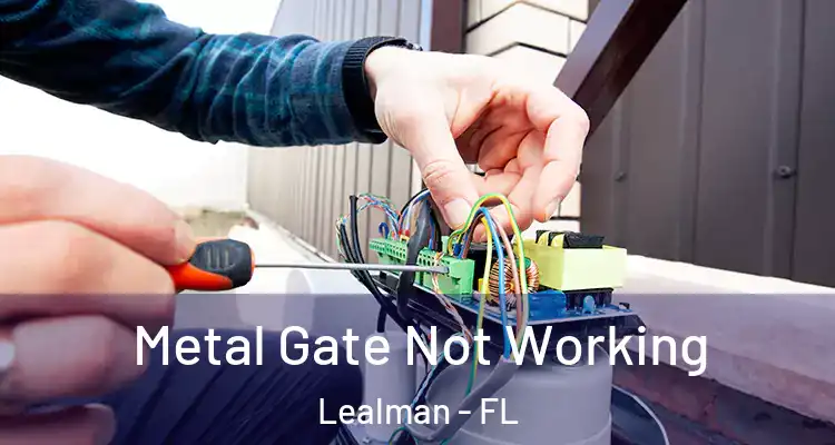 Metal Gate Not Working Lealman - FL