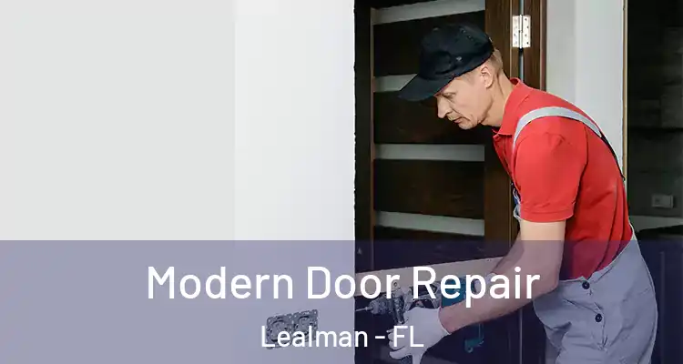 Modern Door Repair Lealman - FL