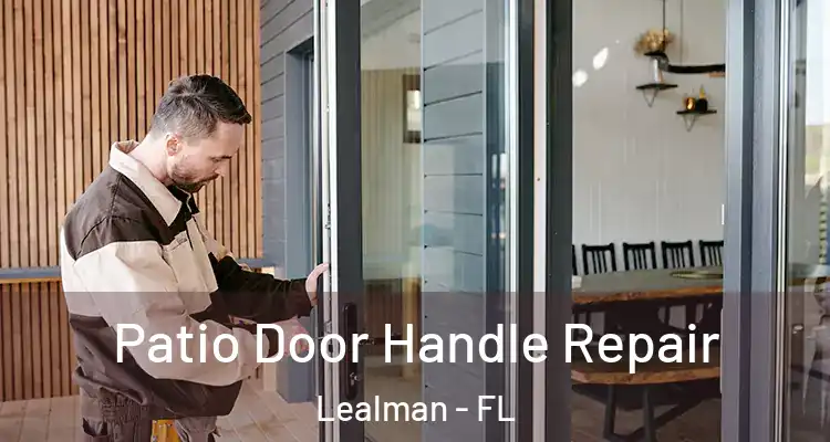 Patio Door Handle Repair Lealman - FL