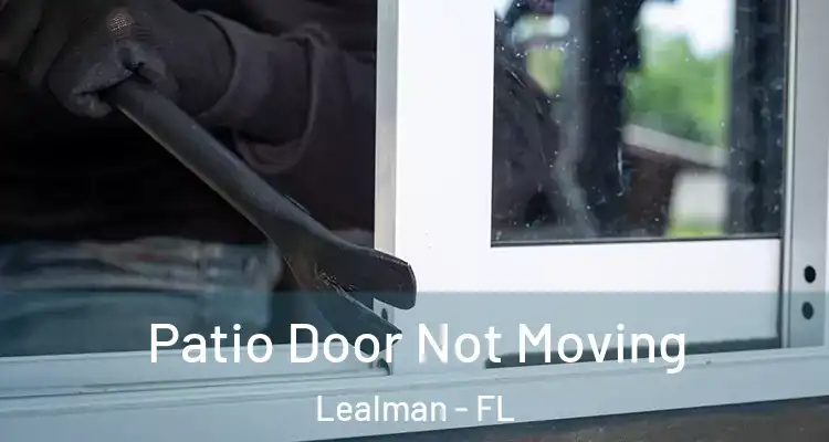 Patio Door Not Moving Lealman - FL