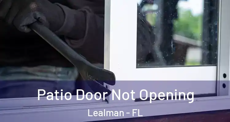 Patio Door Not Opening Lealman - FL