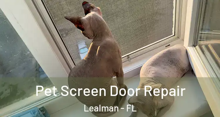 Pet Screen Door Repair Lealman - FL