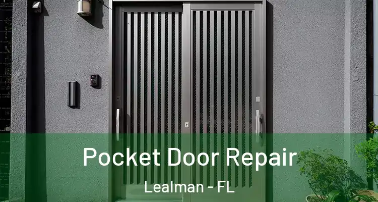 Pocket Door Repair Lealman - FL