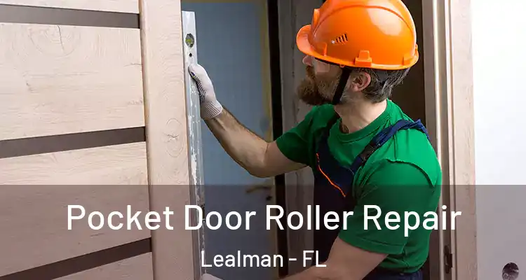Pocket Door Roller Repair Lealman - FL