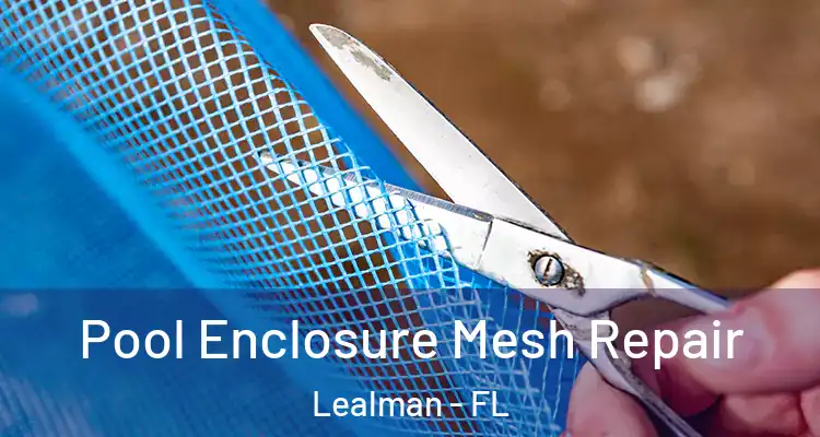 Pool Enclosure Mesh Repair Lealman - FL