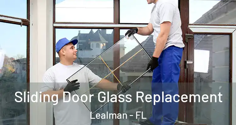 Sliding Door Glass Replacement Lealman - FL