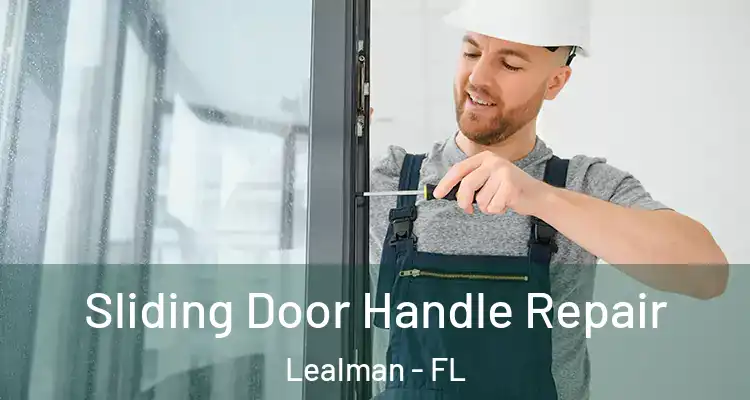 Sliding Door Handle Repair Lealman - FL