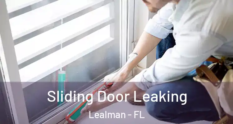 Sliding Door Leaking Lealman - FL