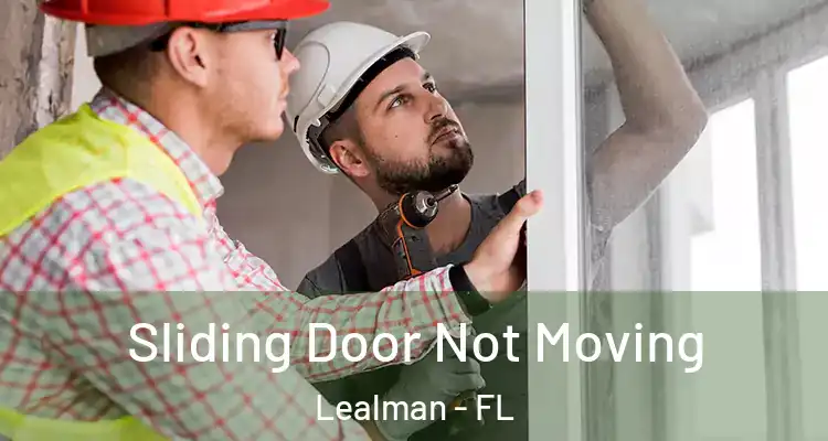 Sliding Door Not Moving Lealman - FL
