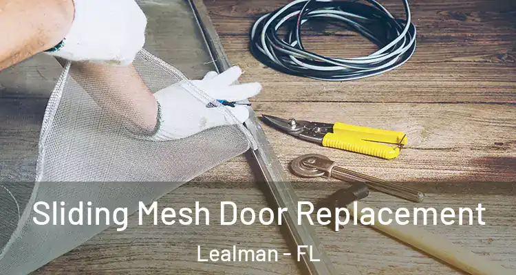 Sliding Mesh Door Replacement Lealman - FL
