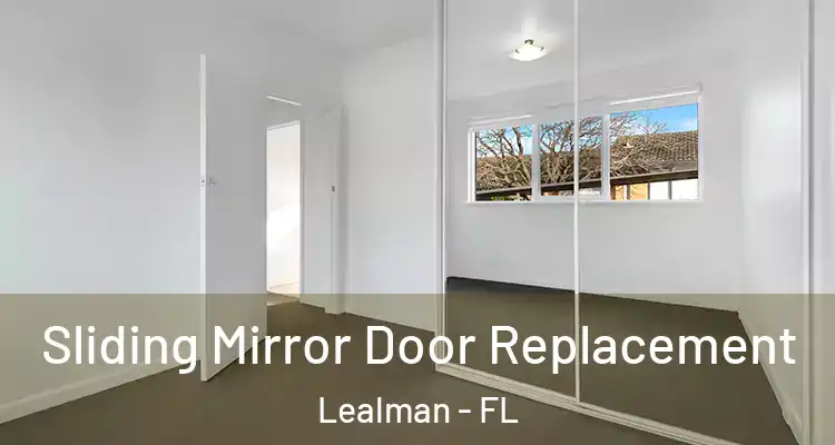 Sliding Mirror Door Replacement Lealman - FL