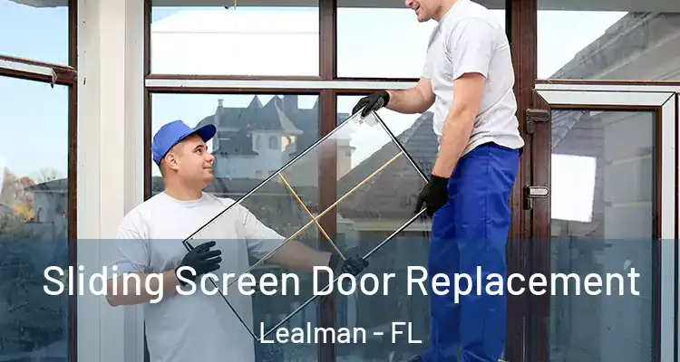 Sliding Screen Door Replacement Lealman - FL