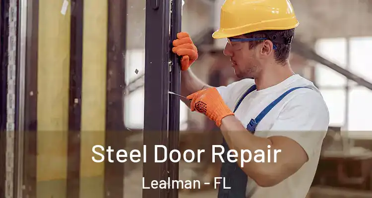 Steel Door Repair Lealman - FL
