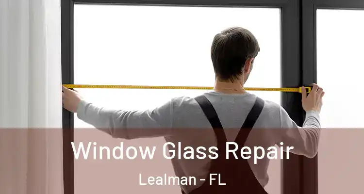 Window Glass Repair Lealman - FL