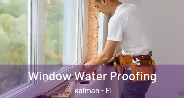 Window Water Proofing Lealman - FL